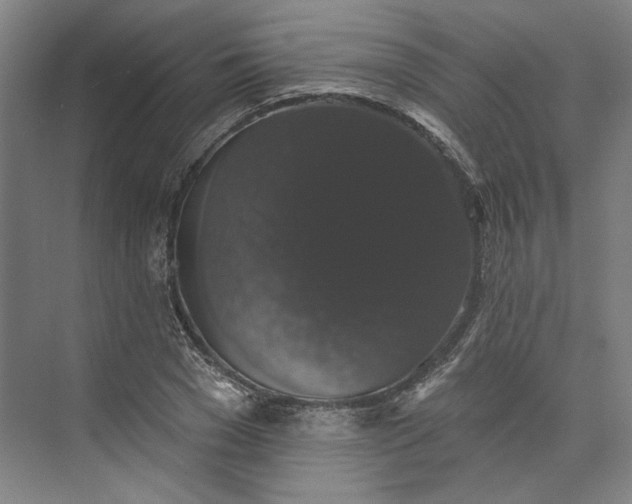 X0000072920977200608041146