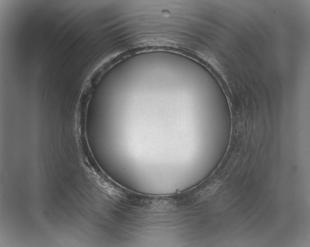 X0000072920979200608041146