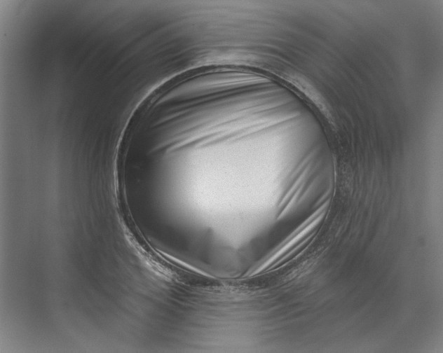 X0000072920980200608041146