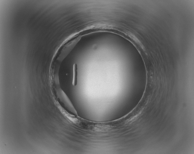 X0000072920981200608041145