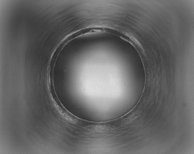 X0000072920984200608041145