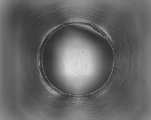 X0000072920987200608041145