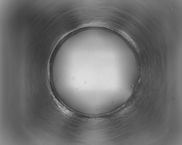X0000072920988200608041145