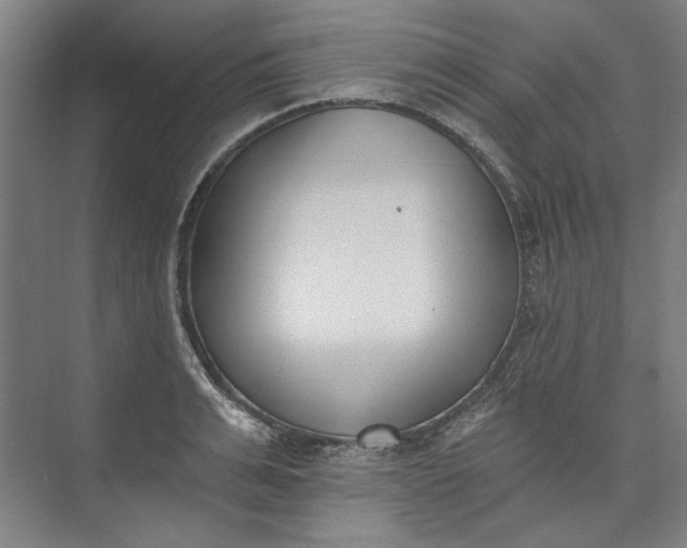 X0000072920991200608041145