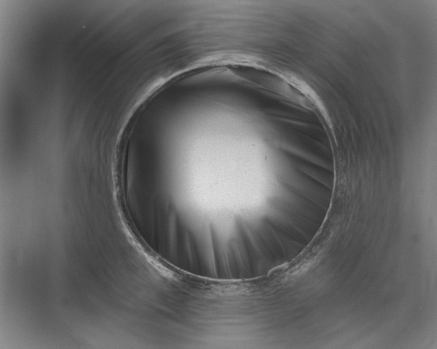 X0000072920997200608041145