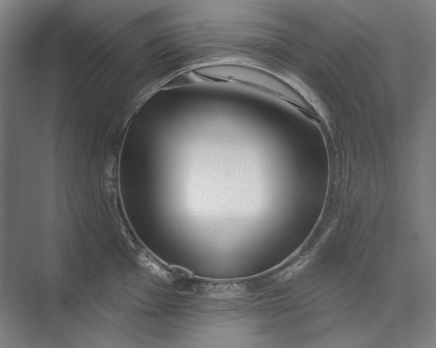 X0000072921001200608041145