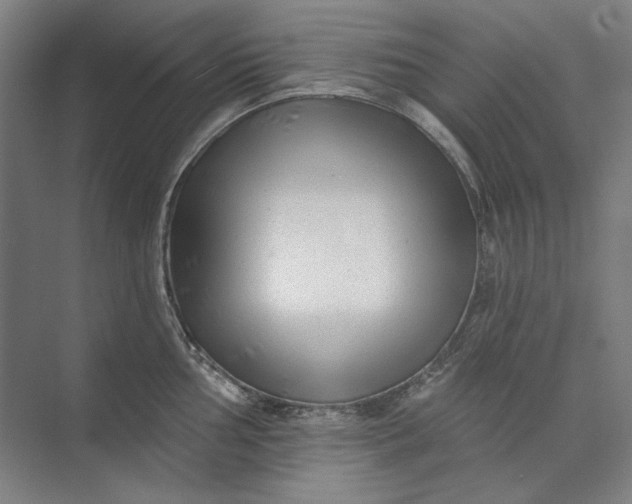 X0000072921002200608041145