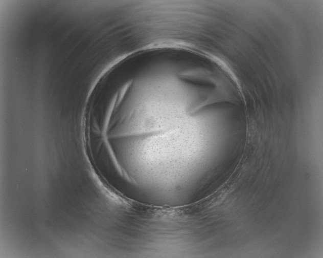 X0000072921003200608041145