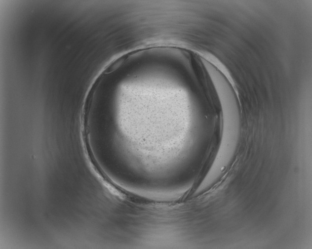 X0000072921005200608041145