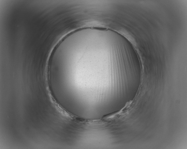 X0000072921008200608041145