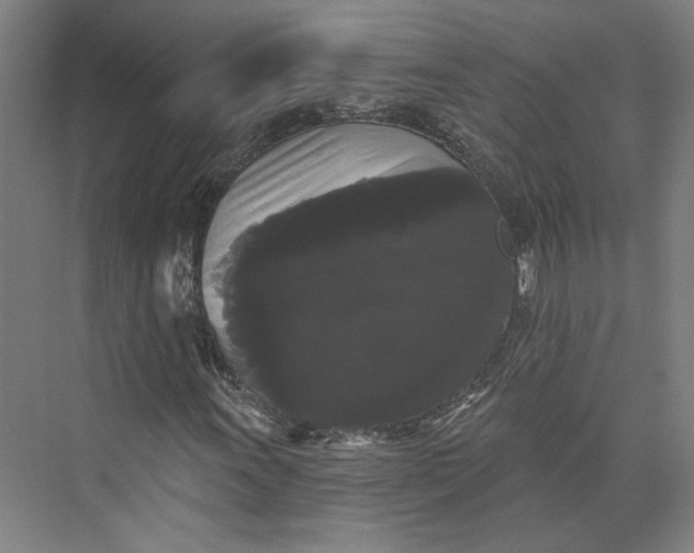 X0000072921011200608041144