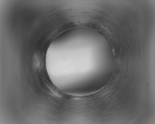 X0000072921012200608041144
