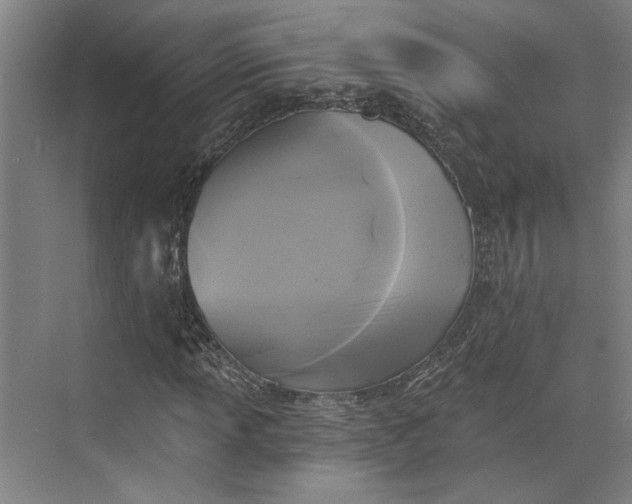 X0000072921013200608041144