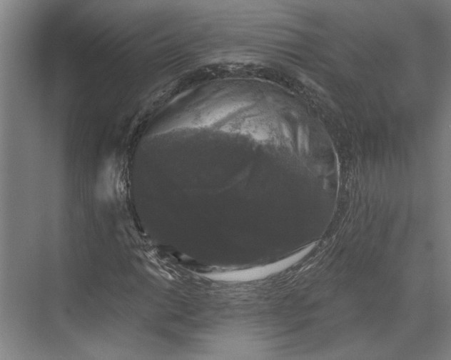 X0000072921014200608041144