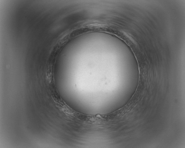 X0000072921015200608041144