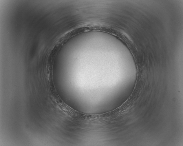 X0000072921016200608041144