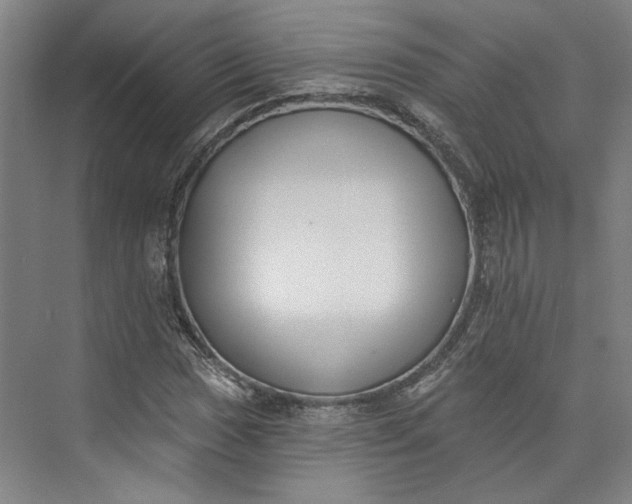 X0000072921017200608041144