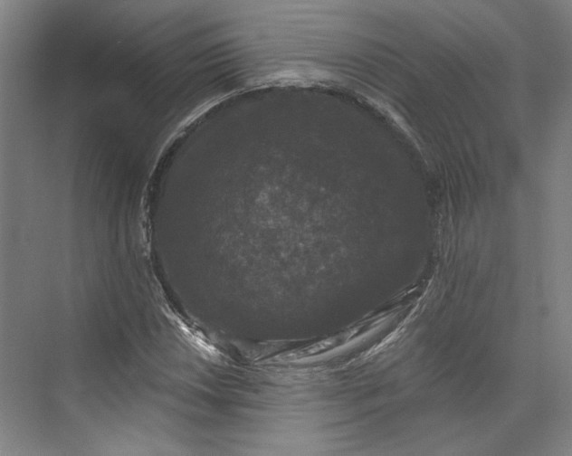 X0000072921018200608041144