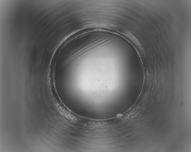 X0000072921020200608041144