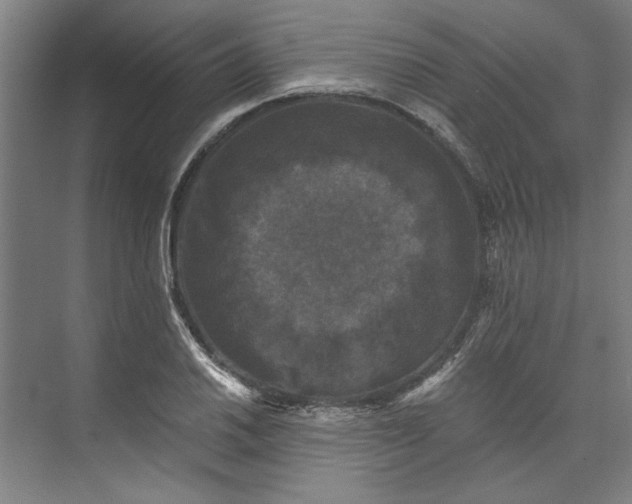 X0000072921030200608041145