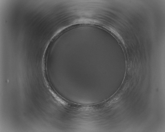 X0000072921037200608041145