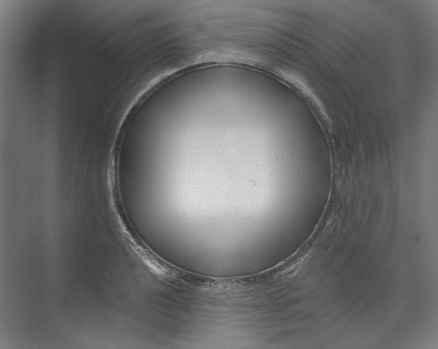 X0000072921040200608041145
