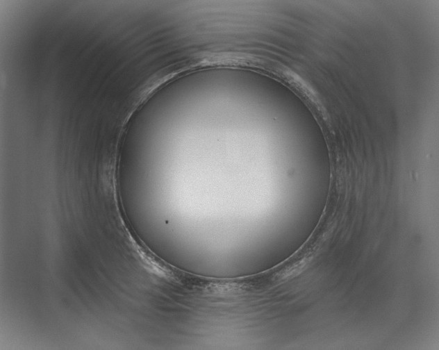 X0000072921041200608041145