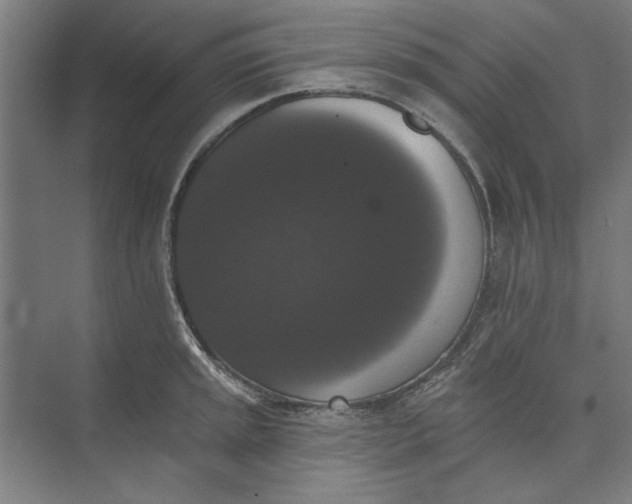 X0000072921045200608041145