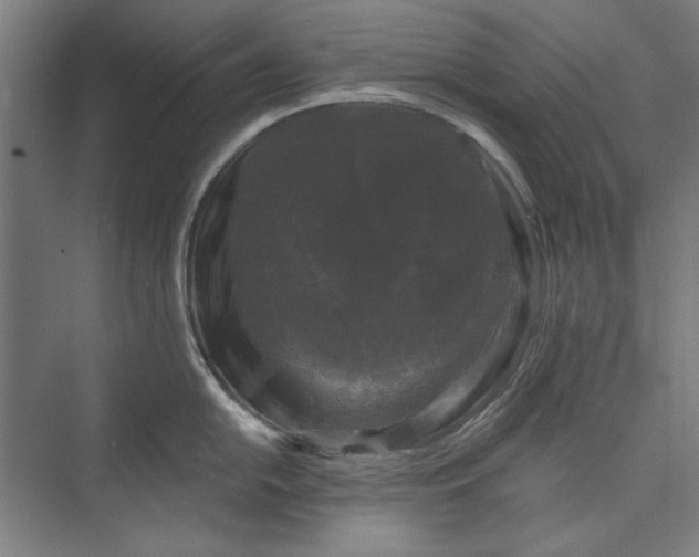 X0000072921054200608041145