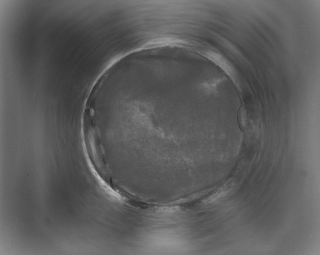X0000072921055200608041145