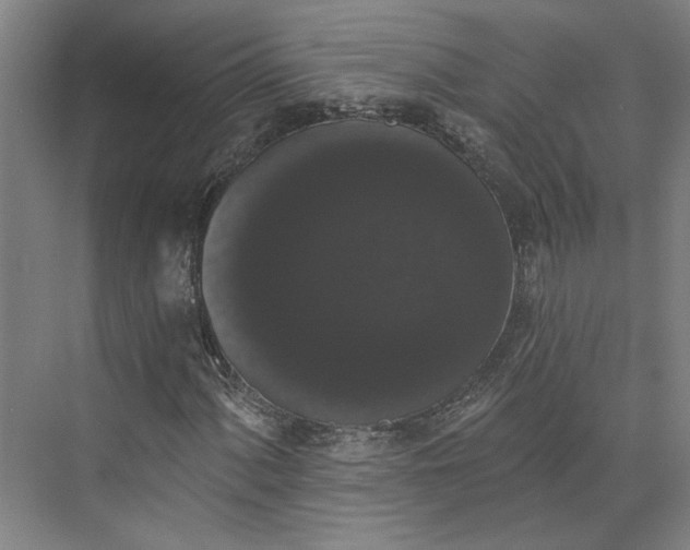 X0000072921060200608041144