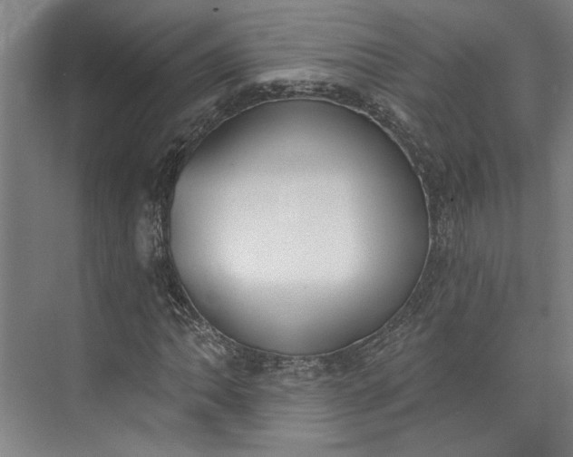 X0000072921062200608041144