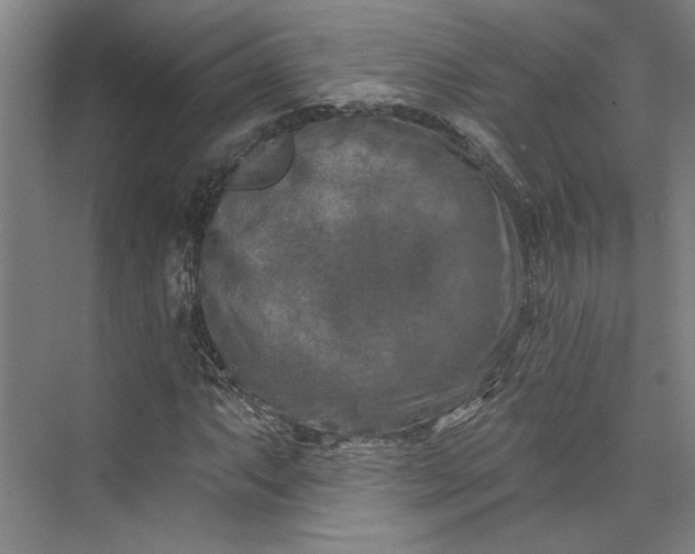 X0000072921063200608041144