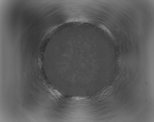 X0000072921064200608041144