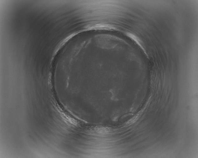 X0000072921066200608041144