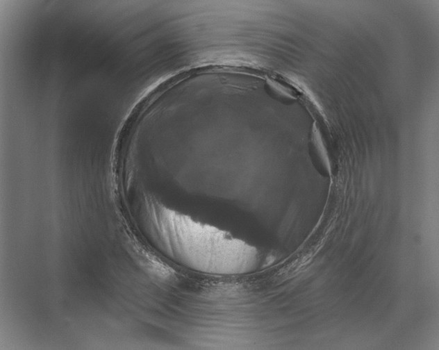 X0000072921071200608041144