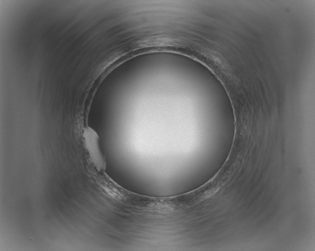 X0000072921073200608041144