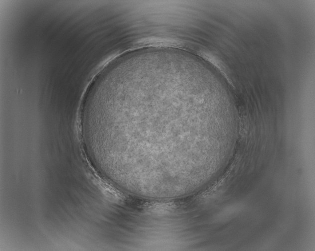 X0000072921074200608041144