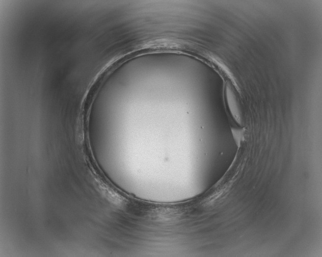 X0000072921075200608041144