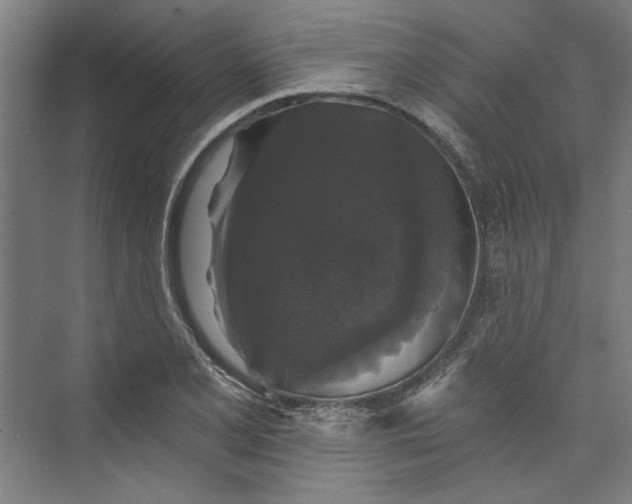 X0000072921077200608041144