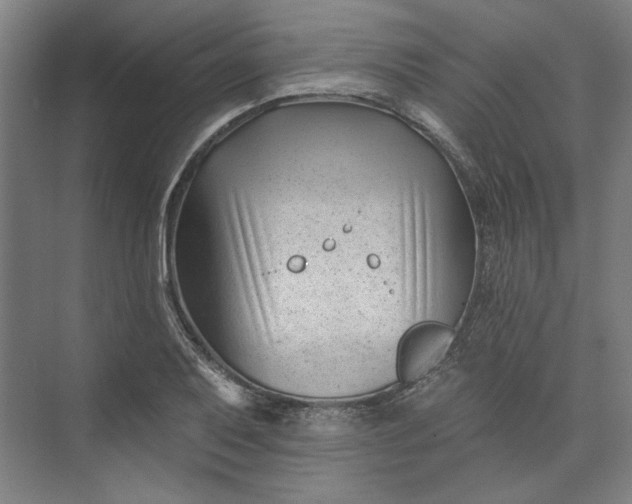 X0000072921079200608041144