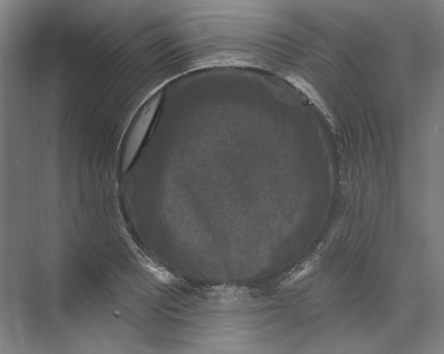 X0000072921081200608041144