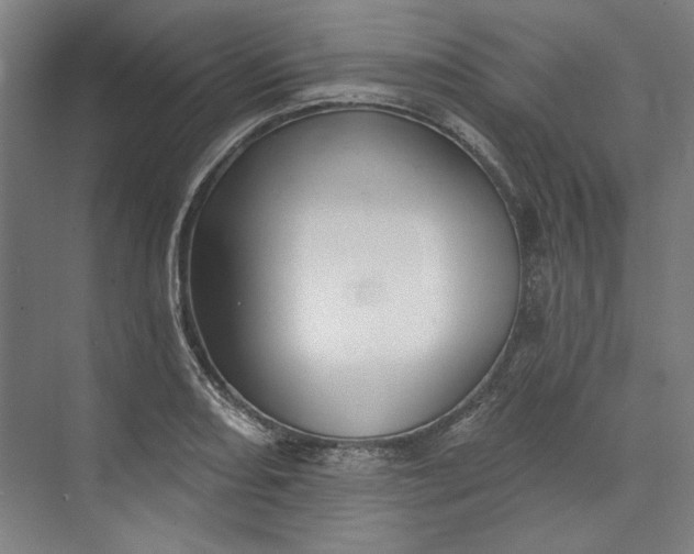 X0000072921082200608041144