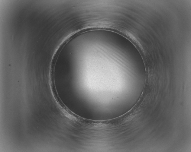 X0000072921085200608041144