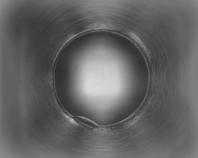 X0000072921089200608041144