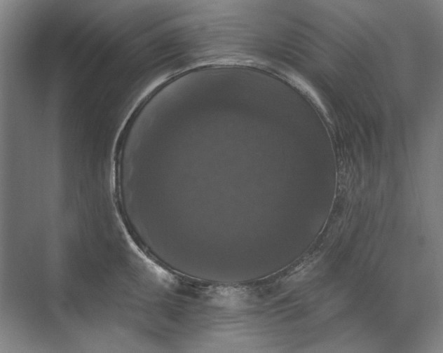 X0000072921095200608041144