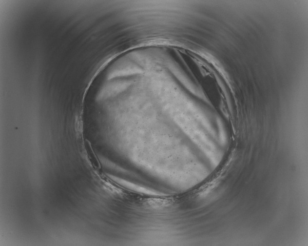 X0000072921097200608041144