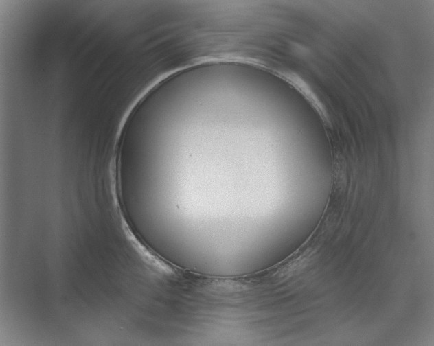 X0000072921100200608041143