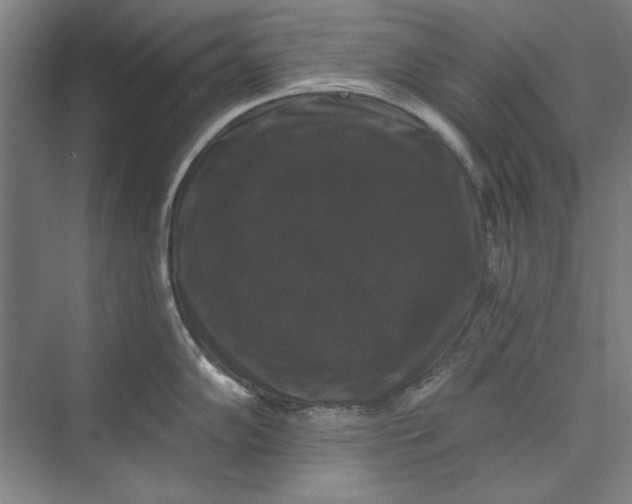 X0000072921102200608041143