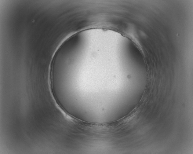 X0000072921103200608041143